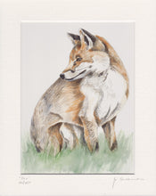 Fox