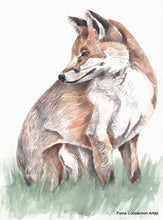 Fox
