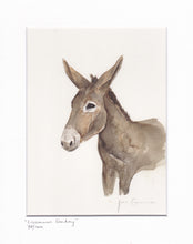 Liscannor Donkey
