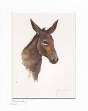 Shy Donkey