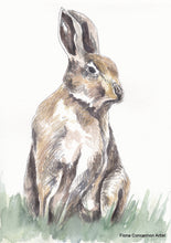 Hare