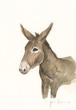 Liscannor Donkey