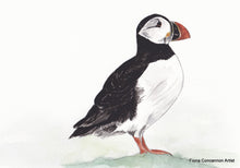 Wild Atlantic Way Puffin